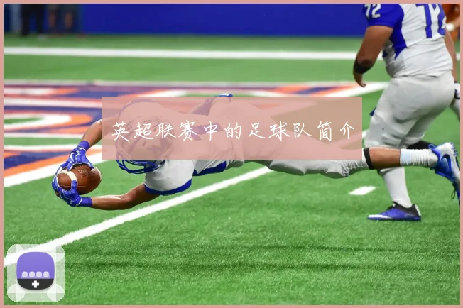 英超联赛中的足球队简介