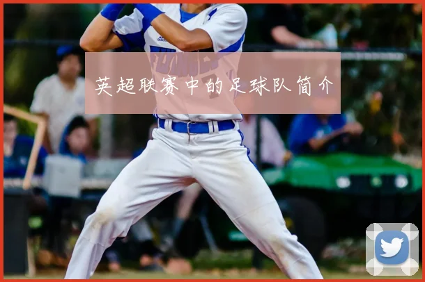 英超联赛中的足球队简介